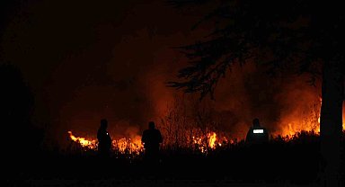 Beyşehir Gölü Milli Parkı'ndaki sazlık alan yangını