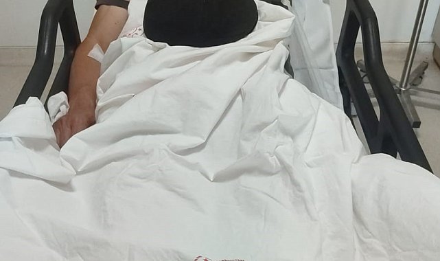 Bilecik'te domuzları avlayan 1 avcı yaralandı