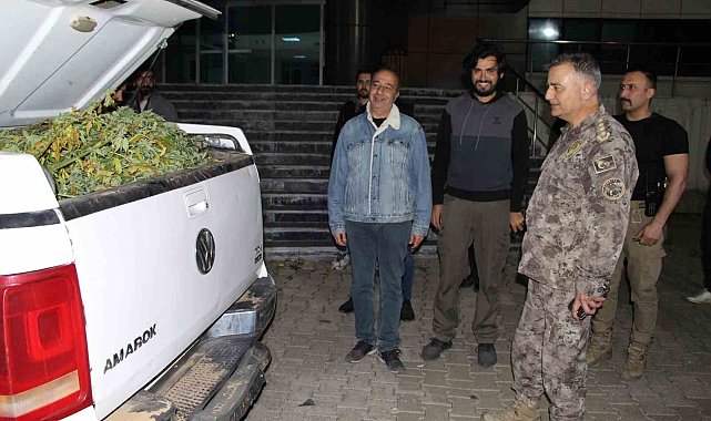 Bingöl'de dev uyuşturucu operasyonu: 542 kilo esrar ele geçirildi