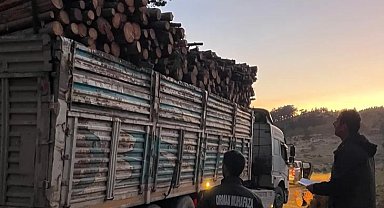 Bursa'da orman ürünleri taşıyan araçlara sıkı denetim!