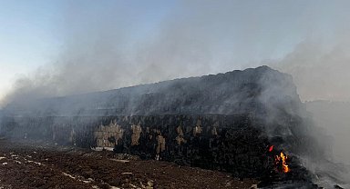 Cizre'de saman balyaları yandı
