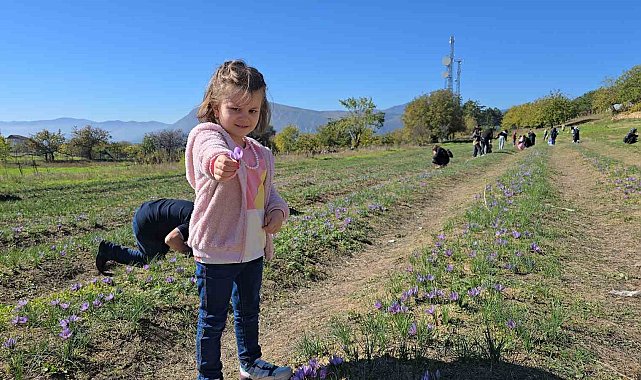 Cumhuriyet Bayramı tatili Safranbolu'ya yaradı