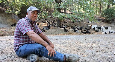 Dağlardaki kurtlar, keçi çobanlarının en büyük kabusu oldu