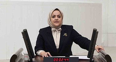 Denizli milletvekili Ün yenidoğan çetesi üzerinden eleştirilerde bulundu