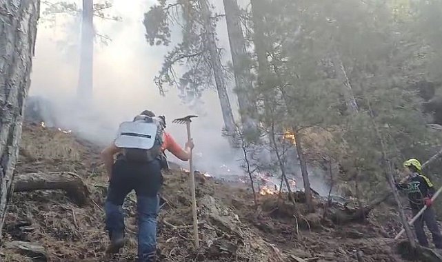 Denizli'deki orman yangınını söndürmek için vatandaşlar seferber oldu