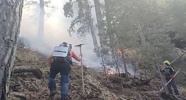 Denizli'deki orman yangınını söndürmek için vatandaşlar seferber oldu