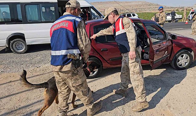 Diyarbakır'da jandarma denetiminde 8 asker kaçağı tespit edildi
