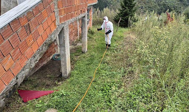 Doğu Karadeniz'in en büyük ilçesi Ortahisar'da kahverengi kokarca ile mücadelede ilaçlama seferberliği başlatıldı