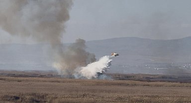 Eber Gölü'ndeki yangın havadan yapılan müdahaleyle söndürüldü