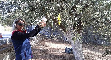 Ekipler sahaya indi, zararlı kontrolleri yapıldı