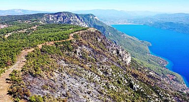 Gökova'da alevlerin önünü kesmek için 6,5 kilometre yangın şeridi açıldı
