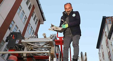 Hakkari'de 4 katlı binada mahsur kalan yavru kedi kurtarıldı
