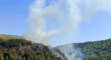 Hatay'da orman yangını