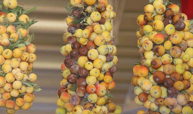 İki yılda bir yetişen, kararınca tüketilen 'vez meyvesi' tezgahlarda yerini aldı
