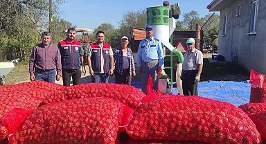 İpsala'nın Karaağaç Köyünde ceviz hasadı devam ediyor
