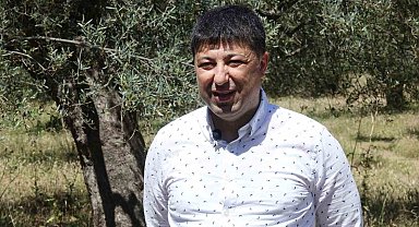 İşte sahte zeytinyağını anlamanın püf noktaları