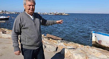 İzmir Körfezi'ndeki balık ölümleri ile dünya rekoru kırıldı