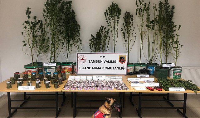 Jandarmadan uyuşturucu operasyonu: 1 gözaltı