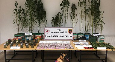 Jandarmadan uyuşturucu operasyonu: 1 gözaltı