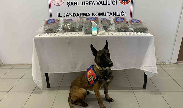 Jandarmadan uyuşturucu operasyonu: 3 gözaltı