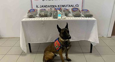 Jandarmadan uyuşturucu operasyonu: 3 gözaltı