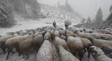 Kar bastırınca yayladan mezraya 3 günde ulaştılar