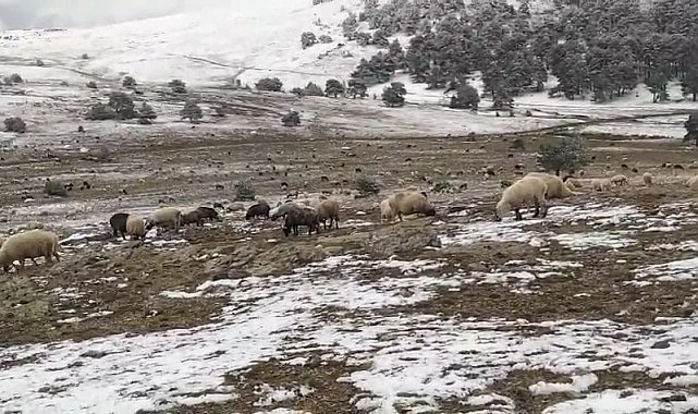 Kar yağışına yaylada yakalandı, koyunlarına türkü söyleyerek duygusal anlar yaşattı