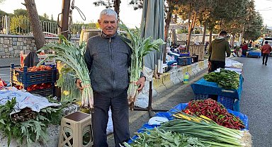 Karaciğer dostu enginarlar Aydın'daki pazar tezgahlarında yerini aldı
