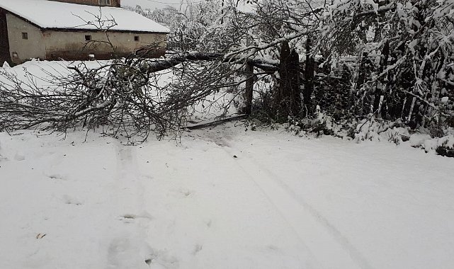 Kastamonu'da ekiplerin karla mücadelesi erken başladı