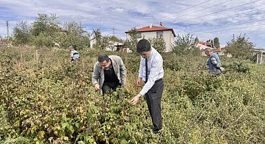 Kaymakam Kahraman, ahududu ve aronya tarlalarında inceleme yaptı