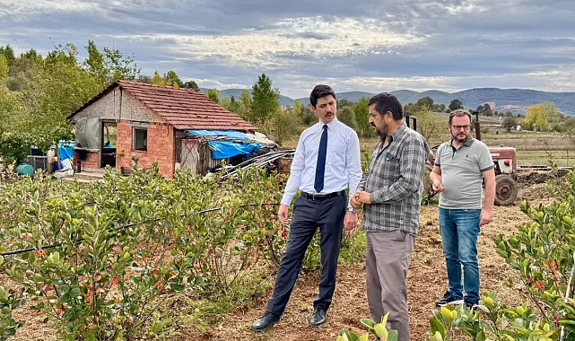 Kaymakam Kahraman'dan Ahududu ve Aronya tarlalarında inceleme