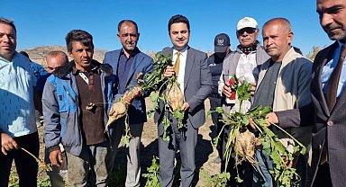 Kaymakam Seyhan, şeker pancarı hasadına katıldı
