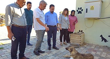 Kızıltepe'de tedavi gören sokak hayvanlarına ziyaret