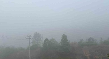 Kocaeli'de sis etkili oluyor