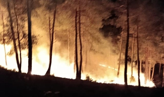 Kütahya'daki orman yangını kısa sürede söndürüldü