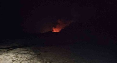 Marmaris'te orman yangını