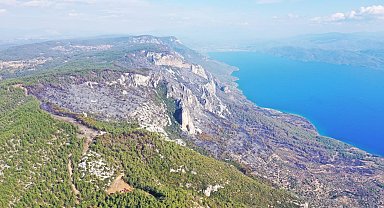 Menteşe'deki orman yangını kontrol altına alındı