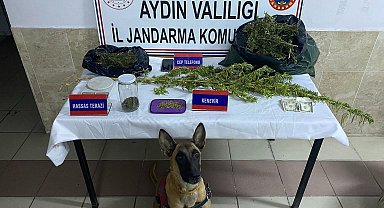 Nazilli'de uyuşturucu operasyonu: 1 gözaltı