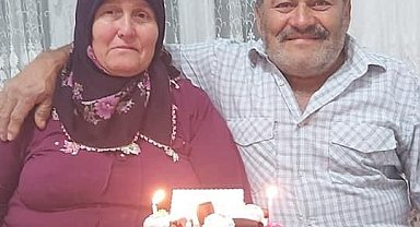Ordu'da bahçede çalışan karı kocaya yaban domuzu saldırdı: 1'i ağır 2 yaralı