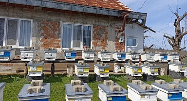 Orman köylüsüne 7 milyon 205 bin TL destek