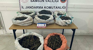 Ormanlık alandaki çadırda 8,5 kilo esrar ele geçirildi