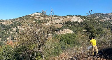 Osmaniye'de 2 noktada çıkan orman yangını söndürüldü