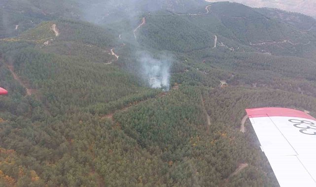 Osmaniye'de orman yangını