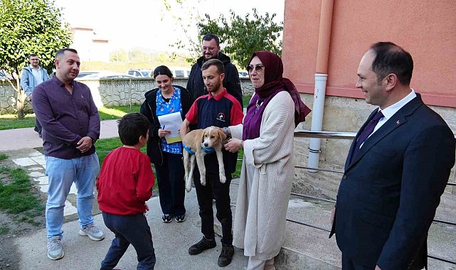 Özel eğitim okuluna can dost yavru köpek