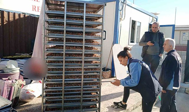 Pastane imalathanelerinde bozulmuş 150 kilogram cevize el konuldu