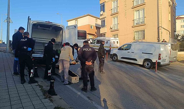 Pendik'te korkunç olay: Kuzenini defalarca kez bıçaklayarak öldürdü