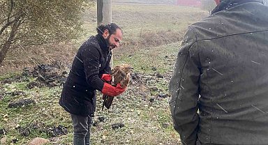 Polisten atmacaya uzanan şefkat eli