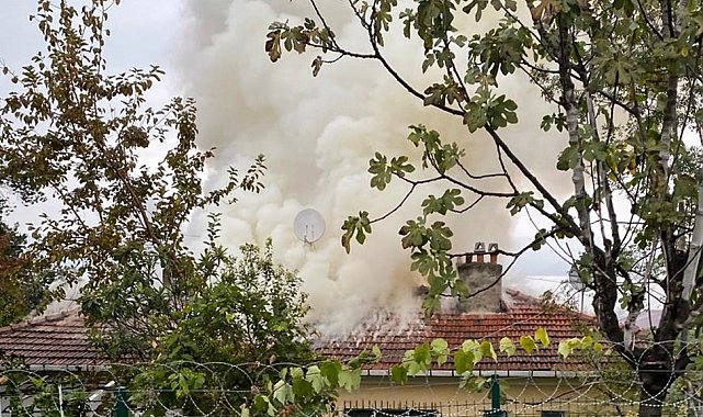 Sakarya'da tek katlı evin çatısı alevlere teslim oldu
