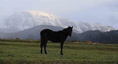 Sakin Şehir Şavşat'tan sonbahar kareleri büyüledi