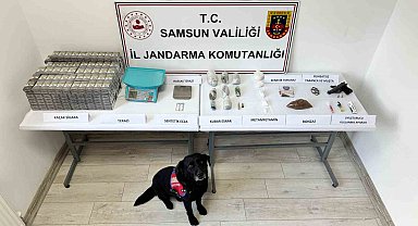 Samsun'da jandarma ekipleri çok sayıda uyuşturucu madde ele geçirdi